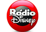 Rádio Disney 91.3 FM SP